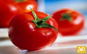 دانشمندان در دانه‌های گوجه فرنگی ماده طبیعی